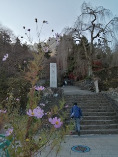 IMG_20201129_141830.jpg